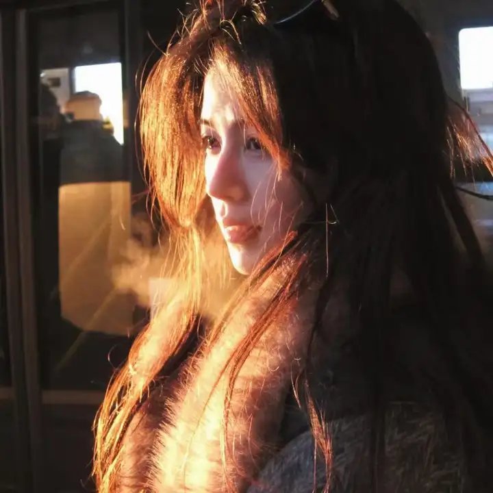 热铁皮屋顶上的猫